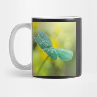 Like a Butterfly Mug